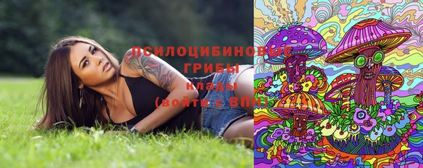метадон Костерёво