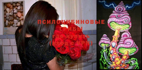 эйфоретик Коряжма