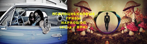 эйфоретик Коряжма