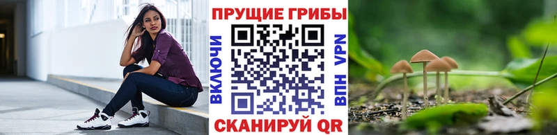 Галлюциногенные грибы GOLDEN TEACHER  Ногинск 
