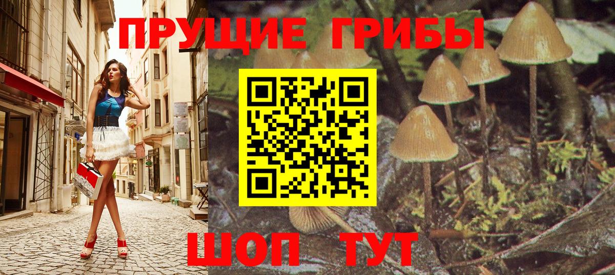 COCAIN  A-PVP  Вход с VPN  Гарик  Гашиш  Кетамин  ЛЁД  Ногинск  МЕФ  МАРИХУАНА 