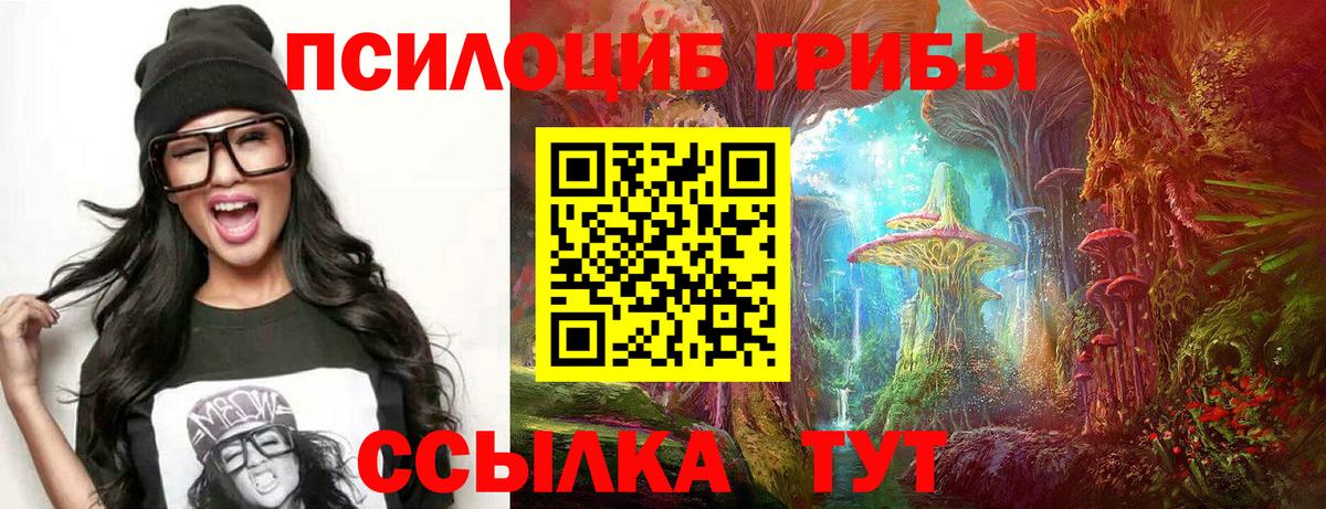 Псилоцибиновые грибы мухоморы Ногинск