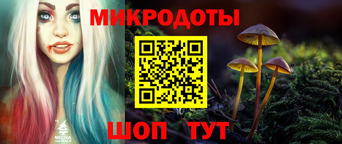 Галлюциногенные грибы Psilocybine cubensis  где купить наркоту  Ногинск  Вход с VPN 